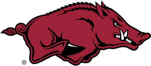 We are excited for Fall and Football Season!  Go Hogs!  Woo Pig Sooie!